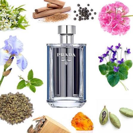 Prada Prada l’homme